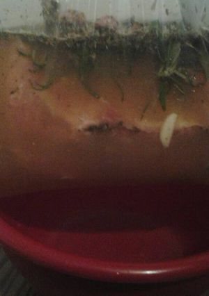 A picture of Apple juice brine.
