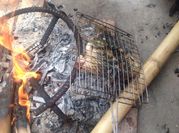 Hình ảnh của cá nướng hạt dổi