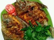 Gambar ikan bawal goreng
