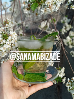 عکسی از دستور شربت سکنجبین نعنایی🌿