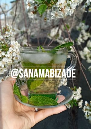 عکسی از دستور شربت سکنجبین نعنایی🌿