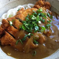 A picture of Katsu Curry Udon.