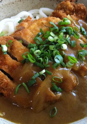 A picture of Katsu Curry Udon.