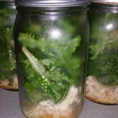 A picture of Chicken and Lettuce Salad with Orange Dressing.