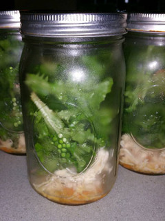 A picture of Chicken and Lettuce Salad with Orange Dressing.