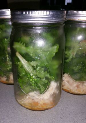 A picture of Chicken and Lettuce Salad with Orange Dressing.