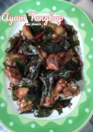 Foto resep Ayam Tangkap
