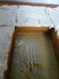 Pumpkin Bars