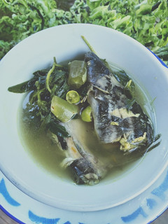 Foto resep Pindang patin kuah belimbing wuluh