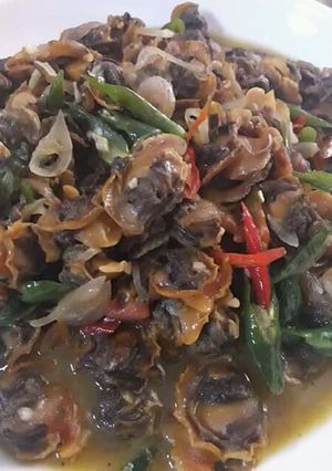 Foto resep Tumis kerang cabe ijo