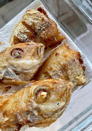 Foto resep Ikan Jangki Goreng