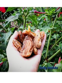 عکسی از دستور زرد آلو خشک