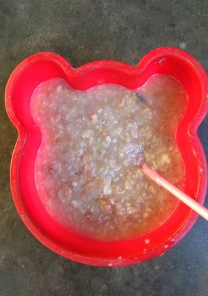 Foto resep [MPASI 9M+] Bubur Ikan