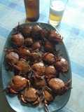 Caranguejo