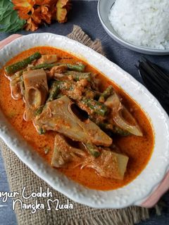 Foto resep Sayur Lodeh Nangka Muda