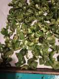 Freezing Fire Roasted Green Bell Peppers