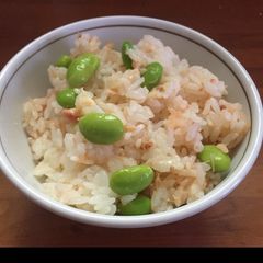 A picture of Rice with salmon,edamame,and cheese.