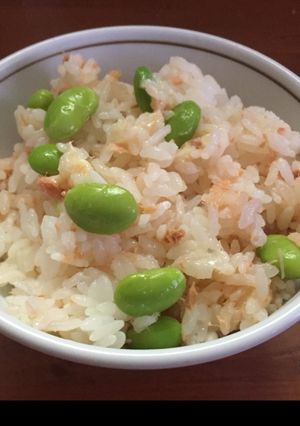 A picture of Rice with salmon,edamame,and cheese.