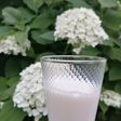 Boisson de riz (lait)