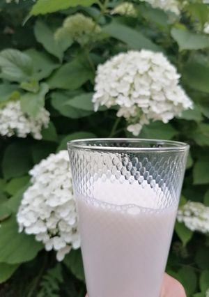 Une photo de Boisson de riz (lait)