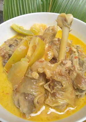 Foto resep Ayam lodho