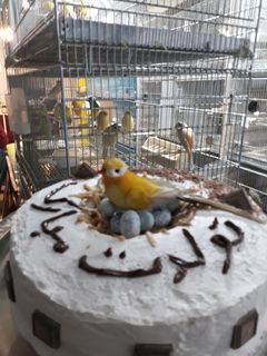 عکسی از دستور کیک تولد