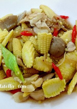 Foto resep Tumis Jagung Muda dengan Ayam dan Baso