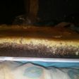 Torta chocoflan con lo que tenía