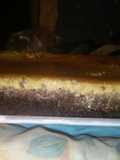 Torta chocoflan con lo que tenía