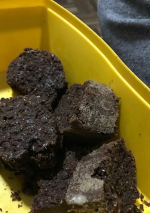 Una foto de Torta integral de chocolate (vegana)