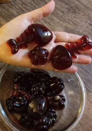 عکسی از دستور پاستیل ساده خانگی