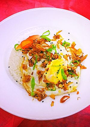Foto resep Telur Ceplok Minyak Bawang Pontianak Viral