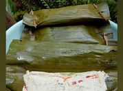 Gambar pepes jamur enoki