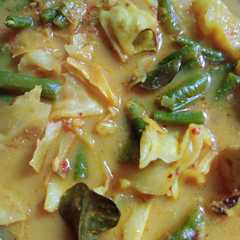 รูปของ Gulai sayur ala padang(fiber creme)