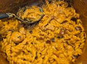 A picture of buffalo sauce pasta