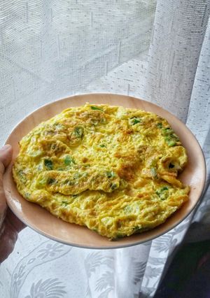 A picture of Telur Dadar Daun Bawang / Scallions Omelette.