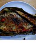 Kerutup Ikan Mujair