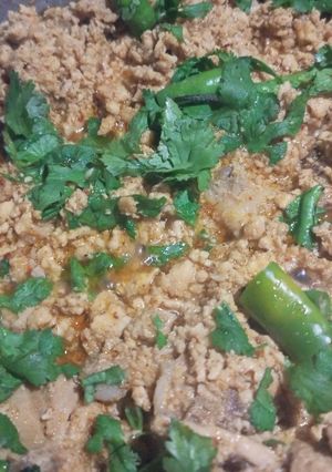 A picture of 🐔 Chicken ka Keema 🐔.