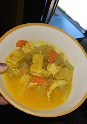 Foto resep Sayur Lodeh Tahu Wortel Labu Siam