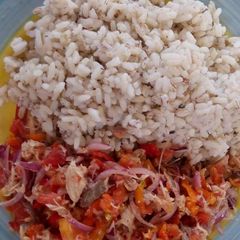 A picture of Ofada with tomato sauce and shredded chicken.
