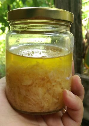 Foto resep Baceman Bawang Putih