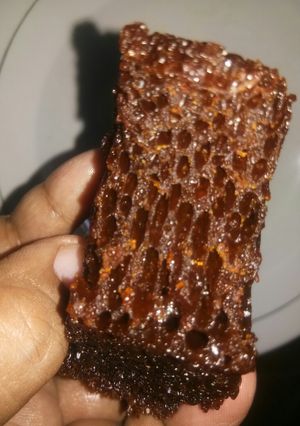 Foto resep Sarang semut