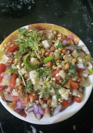 चना मूंग की सलाद(CHANA MOONG KI SALAD RECIPE IN HINDI) रेसिपी मुख्य फोटो