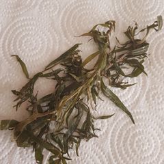 A picture of Fresh Taragon information.
