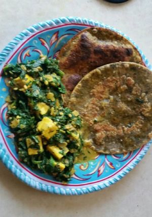 A picture of Saag Paneer.