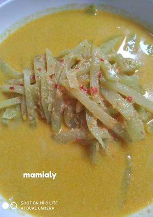 Foto resep Labu siam kuah santan