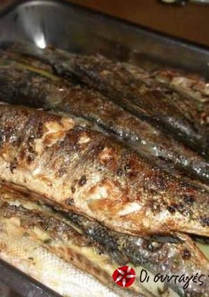 A picture of Grilled fish.