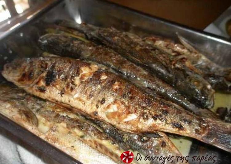 Easiest Way to Prepare Homemade Grilled fish