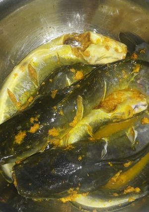 Foto resep Bumbu rendaman lele goreng