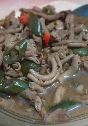 Foto resep Usus tumis cabe ijo
